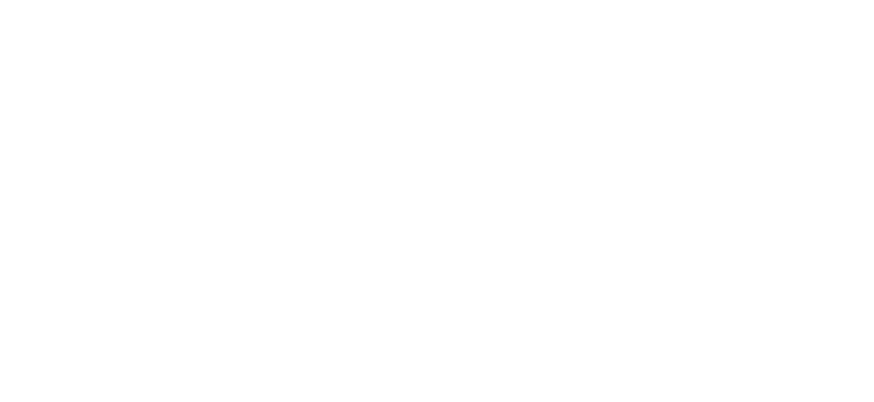 light logo